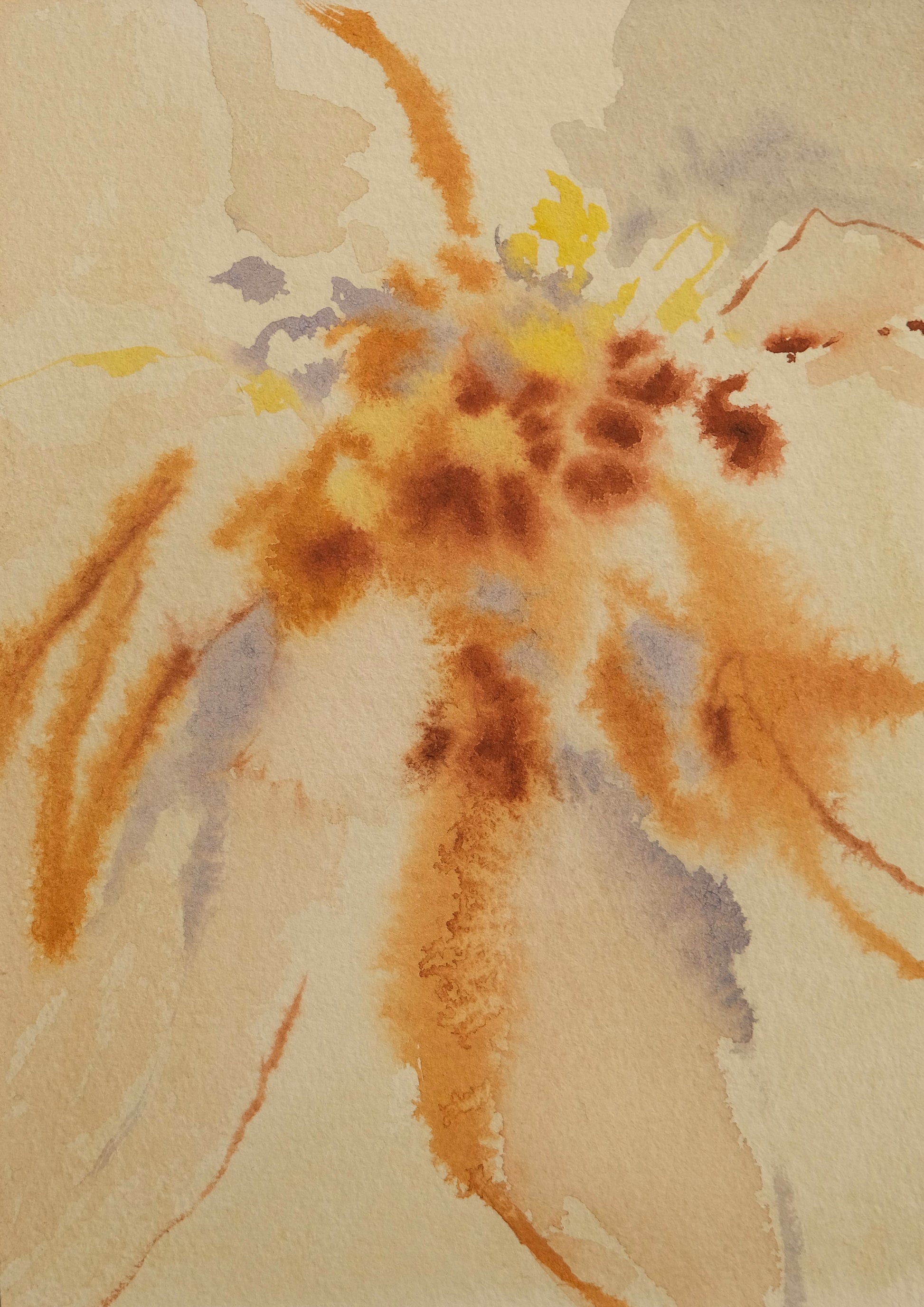 gentle summer (viii)