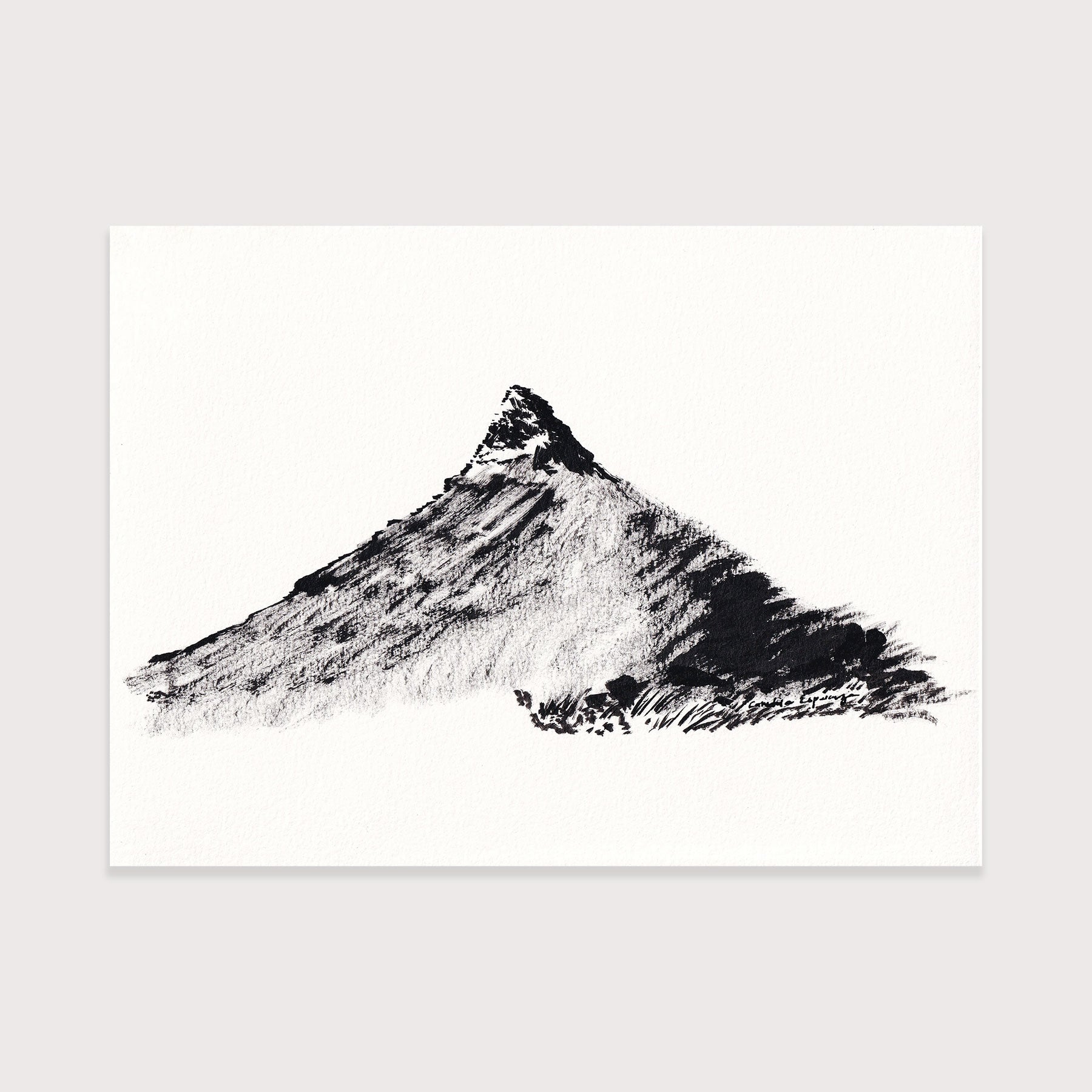 Sunny Lion's Head